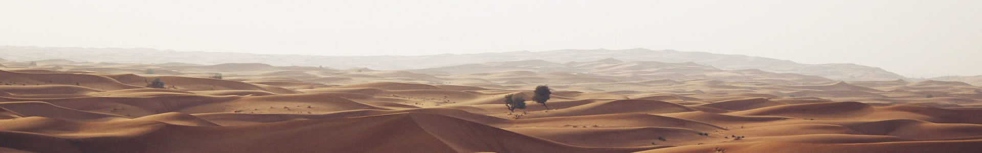 ۽ó޹˾